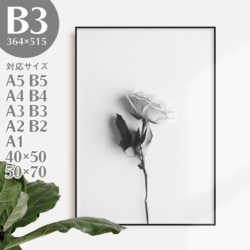 BROOMIN アートポスター フォトポスター 写真 薔薇 バラ モノトーン モノクロ 白黒 B3 364×515mm AP161, 印刷物, ポスター, その他
