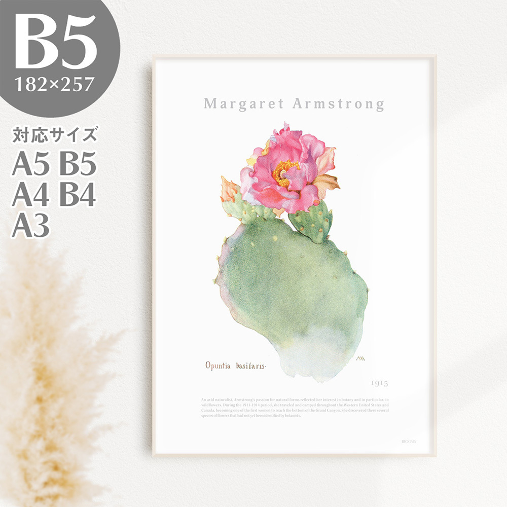 BROOMIN艺术海报芽孢杆菌仙人掌植物自然绘画海报插图B5 182×257mm AP038, 印刷品, 海报, 其他的