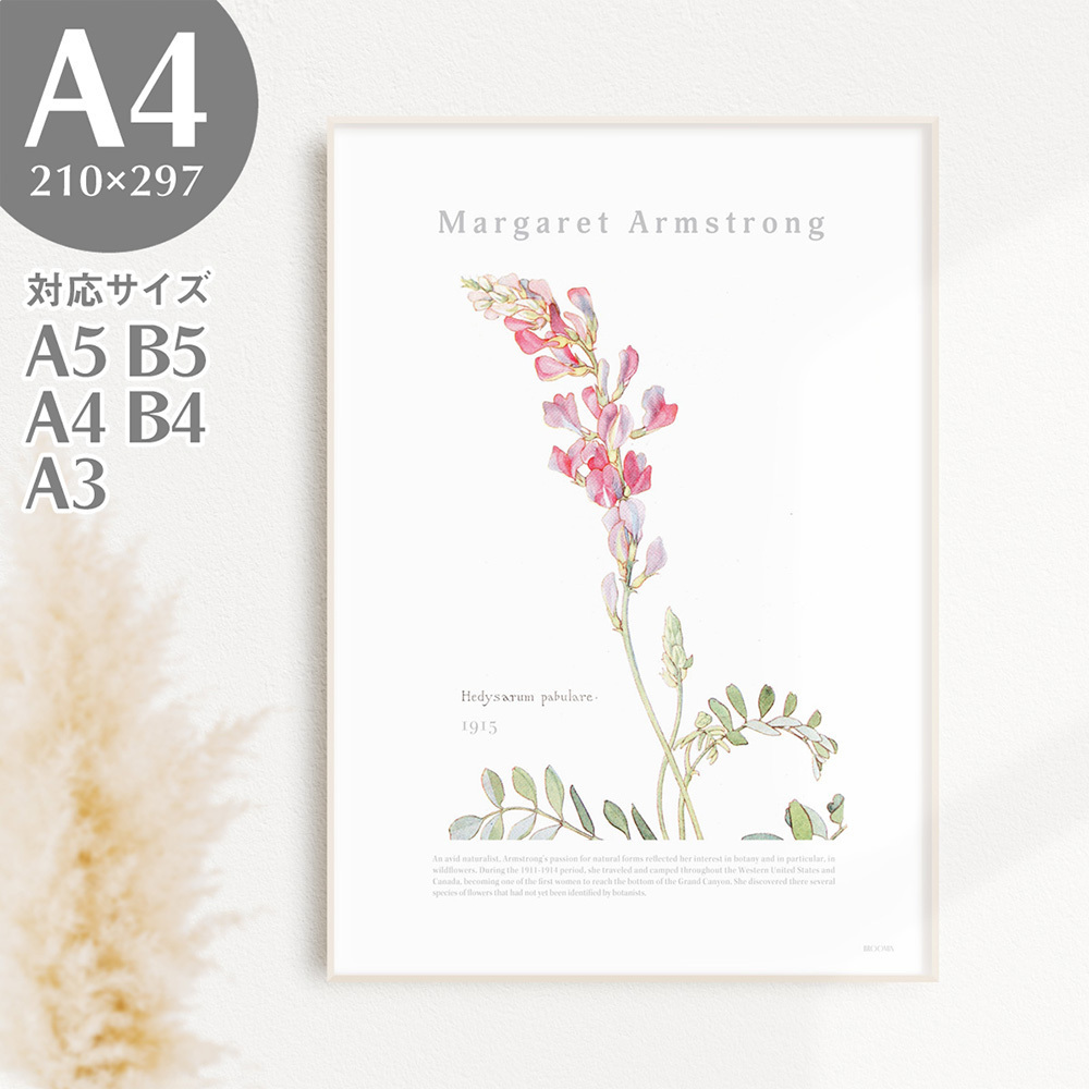 BROOMIN アートポスター ヘディサルム 植物 自然 花 ピンク 絵画ポスター イラスト A4 210×297mm AP036, 印刷物, ポスター, その他