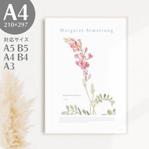 Art hand Auction BROOMIN アートポスター ヘディサルム 植物 自然 花 ピンク 絵画ポスター イラスト A4 210×297mm AP036, 印刷物, ポスター, その他