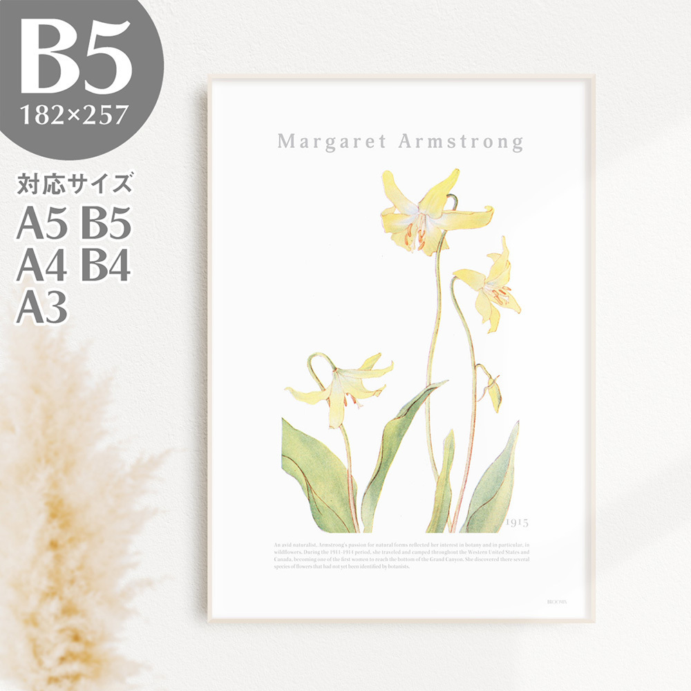 BROOMIN アートポスター カタクリの花 植物 自然 黄色 イエロー 絵画ポスター イラスト B5 182×257mm AP039, 印刷物, ポスター, その他