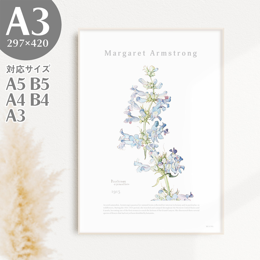 BROOMIN 艺术海报 岩袋 花卉 植物 自然 浅蓝色 蓝色绘画 海报 插画 A3 297 x 420mm AP040, 印刷材料, 海报, 其他的