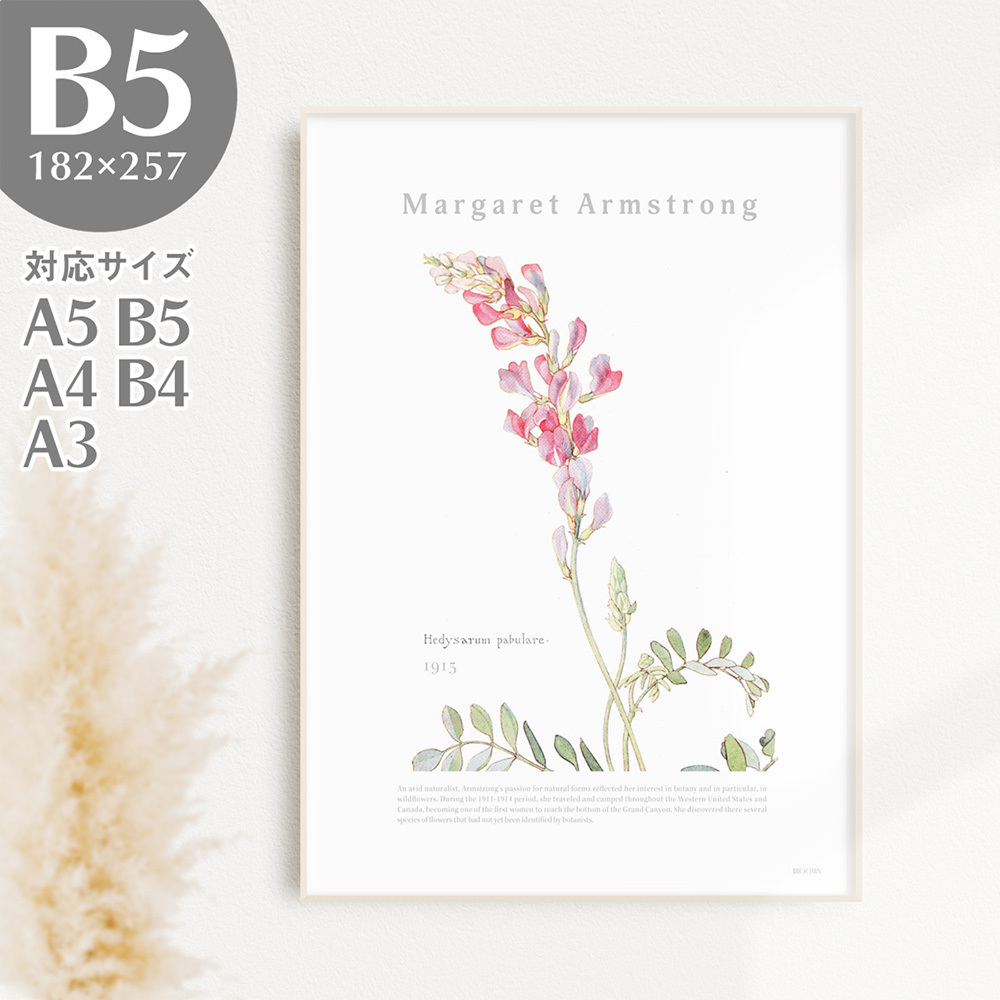 BROOMIN 艺术海报岩黄芪植物自然花卉粉红色绘画海报插图 B5 182×257mm AP036, 印刷品, 海报, 其他的