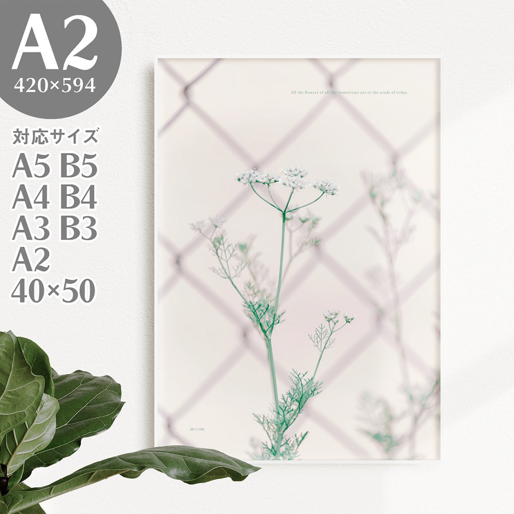 BROOMIN Póster artístico Flores Foto Paisaje Naturaleza Tierra Citas Gráficos Interior elegante A2 420 x 594 mm Extra grande AP145, Materiales impresos, Póster, otros