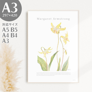 Art hand Auction BROOMIN Kunstposter Hundszahn violett Blume Pflanze Natur gelb Malerei Plakat Illustration A3 297 x 420 mm AP039, Gedruckte Materialien, Poster, Andere