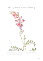 BROOMIN アートポスター ヘディサルム 植物 自然 花 ピンク 絵画ポスター イラスト A4 210×297mm AP036_画像3