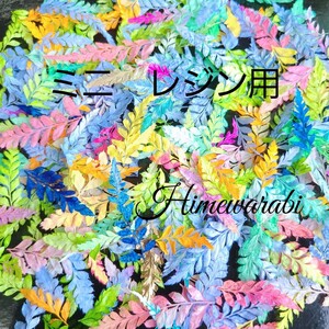 加工花材* アソート ミニ ヒメワラビ プリザーブドフラワー レジン 花材