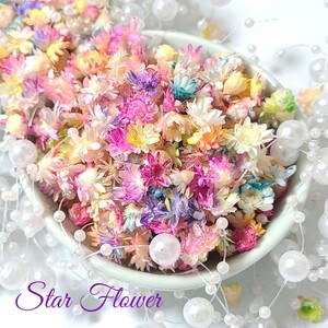 加工花材* スターフラワー ヘッド 90個 プリザーブドフラワー 花材