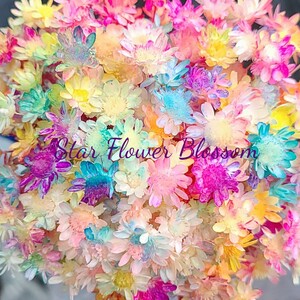 加工花材* スターフラワー ブロッサム プリザーブドフラワー ハーバリウム 花材