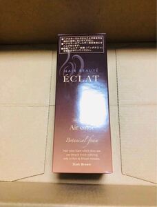 ヘアボーテ エクラ ボタニカルエアカラーフォーム ダークブラウン 80g 新品未開封