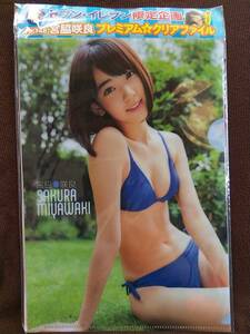 . side . good Young animal appendix seven eleven limitation clear file unopened 