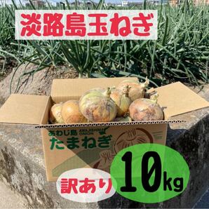 淡路島玉ねぎ訳あり10kg