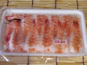 ■即決■寿司ネタに 頭肉付き 寿司エビ(寿司えび) 5LH 60枚(20枚×3パック) 同梱可能