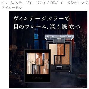 ケイト ヴィンテージモードアイズ BR-1