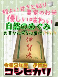 令和3年産伊賀米コシヒカリ　玄米10キロ　一等　減農薬