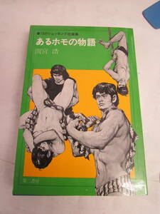 【昭和レトロ】あるホモの物語　間宮浩　13のショッキング短篇集　第二書房　昭和46年11月15日　初版　ゲイ　同性愛