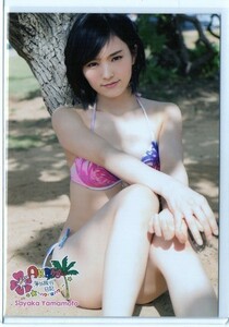 ♪AKB48☆NMB☆山本彩 海外旅行日記 公式生写真～ハワイはハワイ～ ビキニ水着
