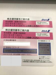 ANA 全日空 株主優待 割引券 2022年6/1~2023年5/31まで 2枚セット