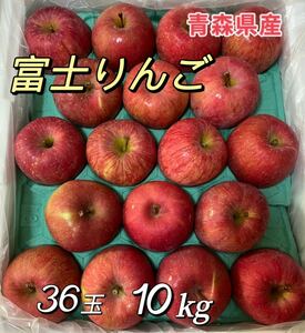 富士りんご　青森県産　36玉　10kg りんご　