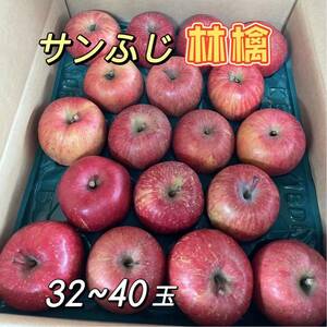 サンふじ　青森県産　32〜40玉　約10kg りんご