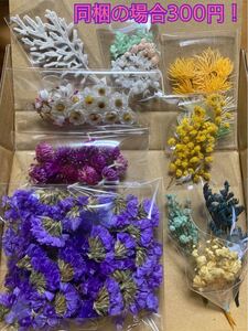 同梱の場合300円! 小花花材セット A 在庫処分