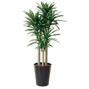 新品 幸福の木 光触媒 大型 180cm 人工観葉植物 W401A460-17