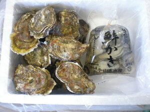 厚岸産　殻付き牡蠣１０個・むき身生ガキ３００ｇセット　道東