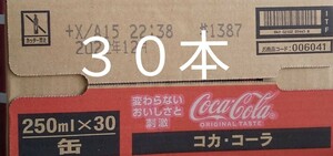  コカ・コーラ250ml缶×30本(1ケース)です。賞味期限23年03月～。