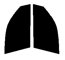 スモーク　26％ 運転席、助手席　ストーリア M100S・M101S　カット済みフィルム　国産