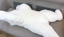 Dior/ディオール ラージベア テディベア 白クマ ぬいぐるみ フェイクファー 約110cm 出産祝い アニマル_画像6
