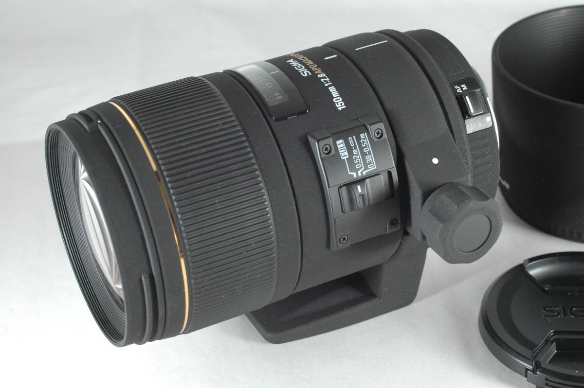 SALE/10%OFF シグマ 150mm F2.8APO MACRO EX DG HSM キヤノン用 fisd.lk