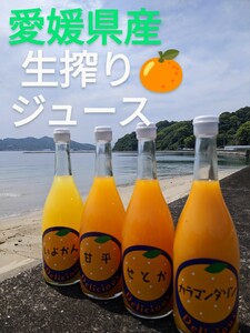 愛媛県産 柑橘生搾り！ 甘平 せとか 伊予柑 カラマンダリン ストレートジュース みかんジュース