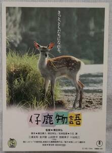 ■美品です！開催済試写会ハガキ「仔鹿物語　主演：三浦友和」■