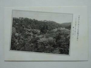 used★未使用★絵葉書 / 吉野 千本 如意輪寺 / 年代物 / 郵便はがき CARTE POSTALE ポストカード POST CARD 