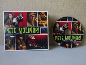 used★UK盤デジパック★CD / PETE MOLINARI ピート・モリナーリ A VIRTUAL LANDSLIDE / BJコール / BILLY CHILDISH【英DAMAGED GOODS】