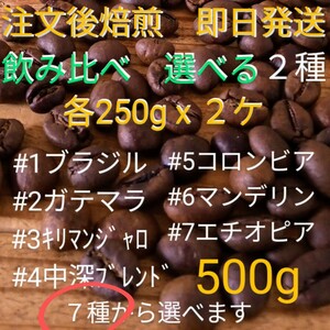 焙煎珈琲豆　飲み比べ　選べる２種　各250g　注文後焙煎　即日発送