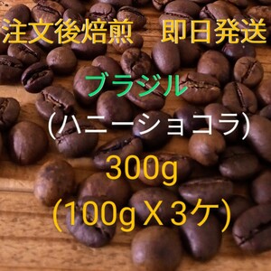 焙煎珈琲豆 中深煎り ブラジル100g x 3ケ 注文後焙煎 即日発送