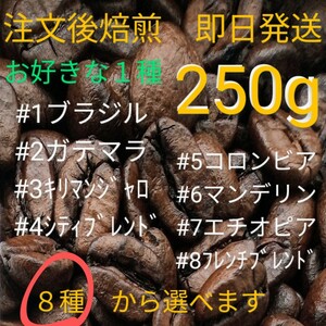 焙煎珈琲豆　選べる１種　250g　注文後焙煎　即日発送