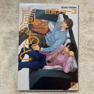 「嵐のあと」日高 ショーコ BLボーイズラブ コミック