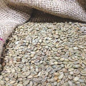 【在庫限りです】 松屋珈琲　コーヒー生豆　エチオピア （モカ）シダモＧ４ (1kg袋) 