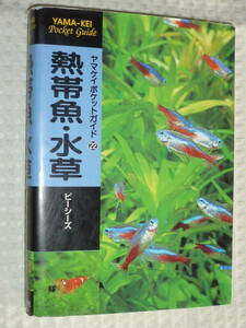 yama Kei pocket guide 22[ tropical fish * water plants ]pi- She's mountain ... company 