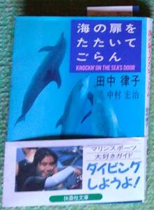 田中律子／中村宏治『海の扉をたたいてごらん』扶桑社文庫 1994年7月30日 第1刷（帯付き）