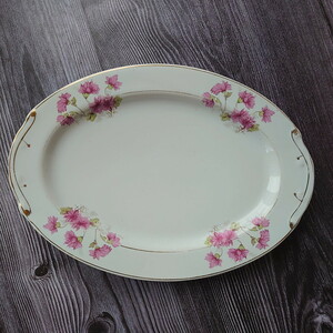 PT2* Taiwan retro *. round shape plate oval plate small of the back . record azalea pink * Taiwan tableware * Vintage yha380002