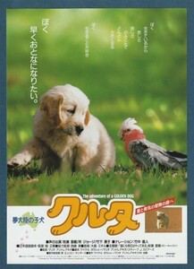 チラシ■1995年【クルタ 夢大陸の子犬】[ A ランク ] 割引券付き シネプラザ 館名入り/畑正憲 大島ミチル 牧瀬里穂 所ジョージ 竹下景子