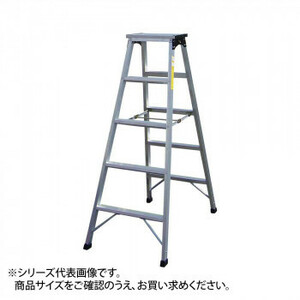  exclusive use stepladder AS type AS-60