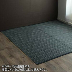 洗える PPカーペット 『バルカン』 江戸間6畳 (約261×352cm) ネイビー 2126506