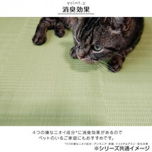 日本製 抗菌 防臭 消臭 洗えるカーペット アイボリー 江戸間1畳(約87×174cm) 2129001_画像5