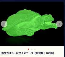 飛びガメラ １尺サイズ　蓄光版　「ガメラ　大怪獣　空中　決戦」永久保存化　プロジェクト　M1号　限定 100 送込み　おまけつき　ギャオス_画像2