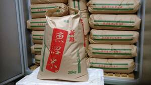 令和3年産　魚沼産コシヒカリ 玄米20ｋｇ　昔ながらの従来コシヒカリ　精米無料です