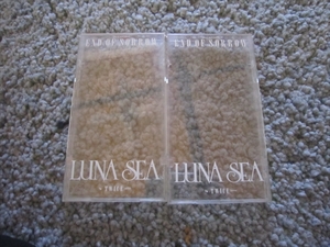 ケースのみ　2個　CDなし　LUNA SEA　「END OF SORROW (Single Version)／TWICE」　初回限定 プラケース仕様　